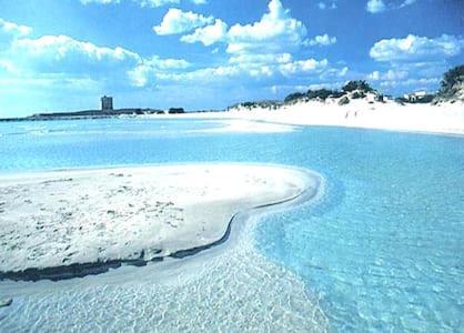 Sole E Mare - Country Bungalow In Salento Leilighet Salve Eksteriør bilde