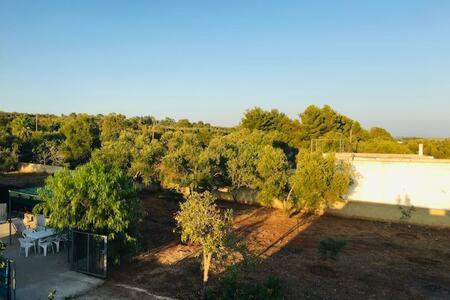 Sole E Mare - Country Bungalow In Salento Leilighet Salve Eksteriør bilde